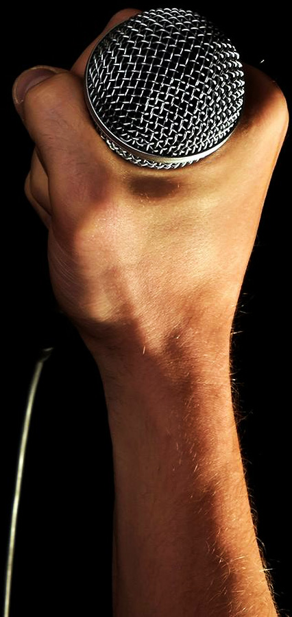 microphone hand